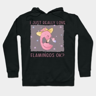 I just really Love Flamingos ok  Flamingo Hoodie